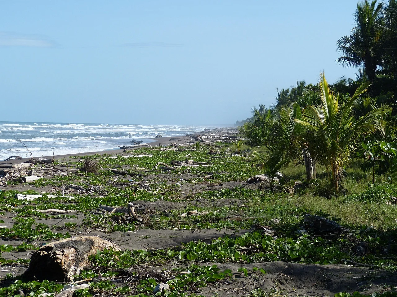 Illustrative surf and coastal scenery